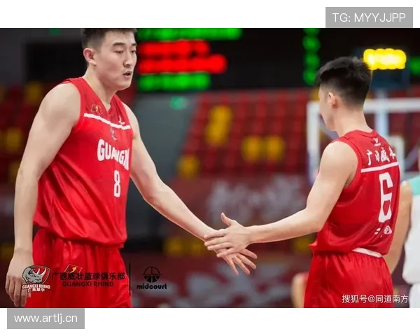 NBL赛季十佳助攻集锦 佩科维奇背传惊艳 庞峥麟巧妙助攻队友得分